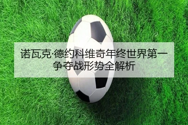 诺瓦克·德约科维奇年终世界第一争夺战形势全解析